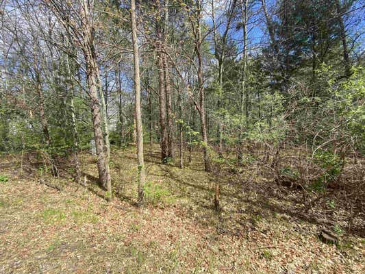 LOT 5 SKYLINE DRIVE, STEVENS POINT, WI 54482, photo 4 of 5