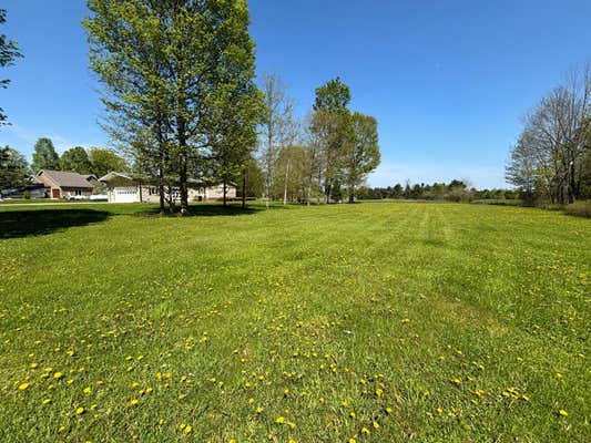 0000 CHIP SHOT LANE, LANGLADE, WI 54465 - Image 1