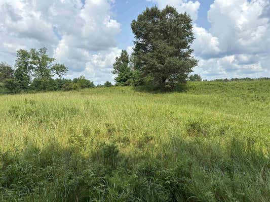 LOT 3 BENTLEY ROAD, CUSTER, WI 54423, photo 4 of 14