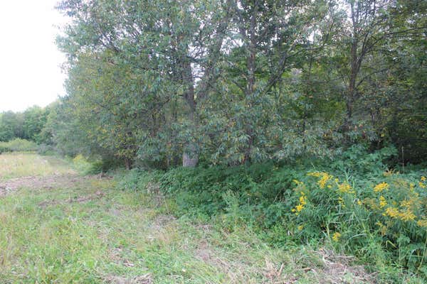 16 ACRES WOODLAND DRIVE, WAUSAU, WI 54401, photo 2 of 12