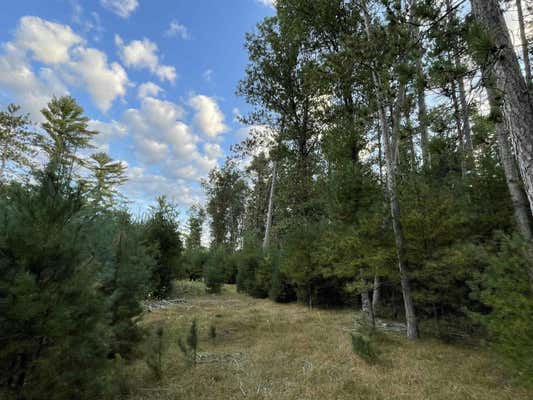 LOT 9 TOWNLINE ROAD, WISCONSIN RAPIDS, WI 54494 - Image 1