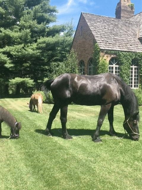 Wausau, Wisconsin, 54401, United States, 4 Bedrooms Bedrooms, ,5 BathroomsBathrooms,Residential,Active,1987234