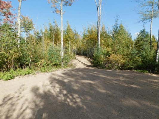 LOT 3 GRUNDY ROAD, TOMAHAWK, WI 54487, photo 4 of 6