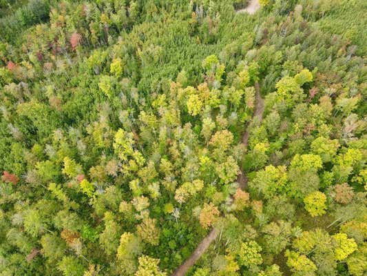 LOT 3 GRUNDY ROAD, TOMAHAWK, WI 54487 - Image 1