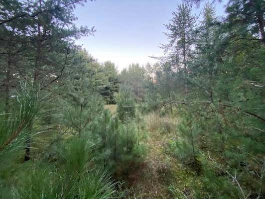 3.43 ACRES JORDAN ROAD, STEVENS POINT, WI 54482 - Image 1