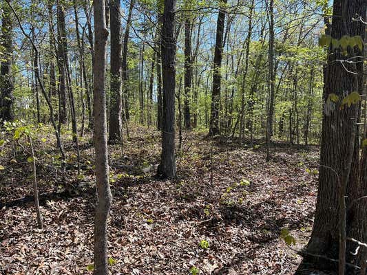 35 ACRES LAFAYETTE ROAD, ROCKY FACE, GA 30740 - Image 1