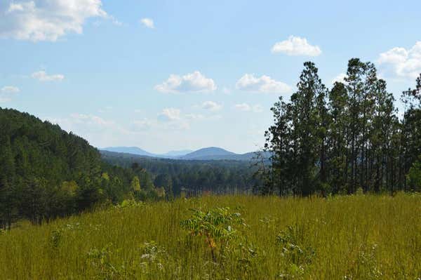 33 ACRES HWY 2, COHUTTA, GA 30710, photo 4 of 31