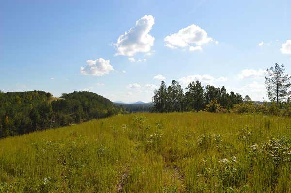 33 ACRES HWY 2, COHUTTA, GA 30710, photo 3 of 31