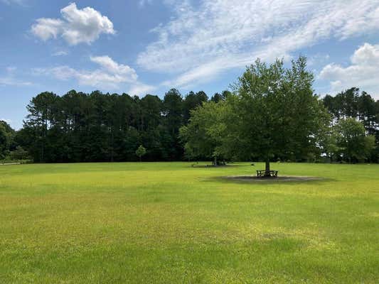 TBD-A TIMBER TRAIL, NICHOLLS, GA 31554 - Image 1