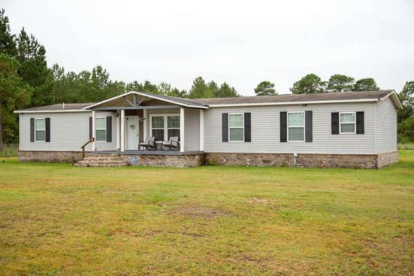 968 BRENDA KAYE YAWN RD, BAXLEY, GA 31513 - Image 1