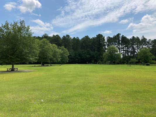 TBD-B TIMBER TRAIL, NICHOLLS, GA 31554 - Image 1