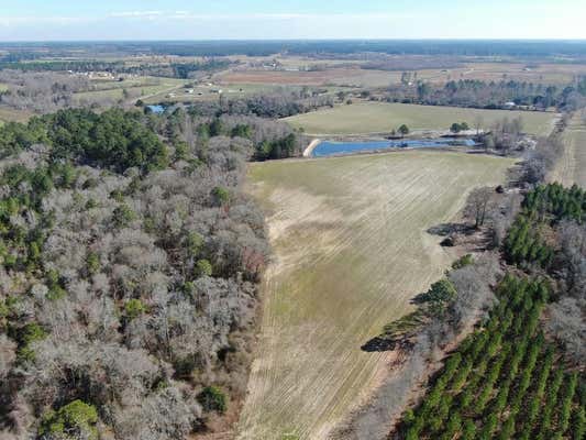 TRACT #3 JIM MEEKS ROAD, NICHOLLS, GA 31554 - Image 1