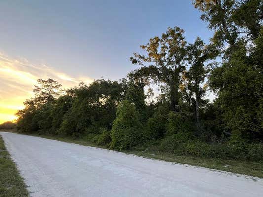 NE 481ST AVE, OLD TOWN, FL 32680 - Image 1