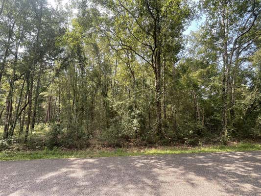 0 CORRAL RD, MILTON, FL 32583 - Image 1