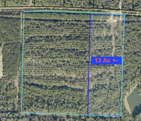 PARCEL 1 W PLYMTON ROAD, LAUREL HILL, FL 32567 - Image 1