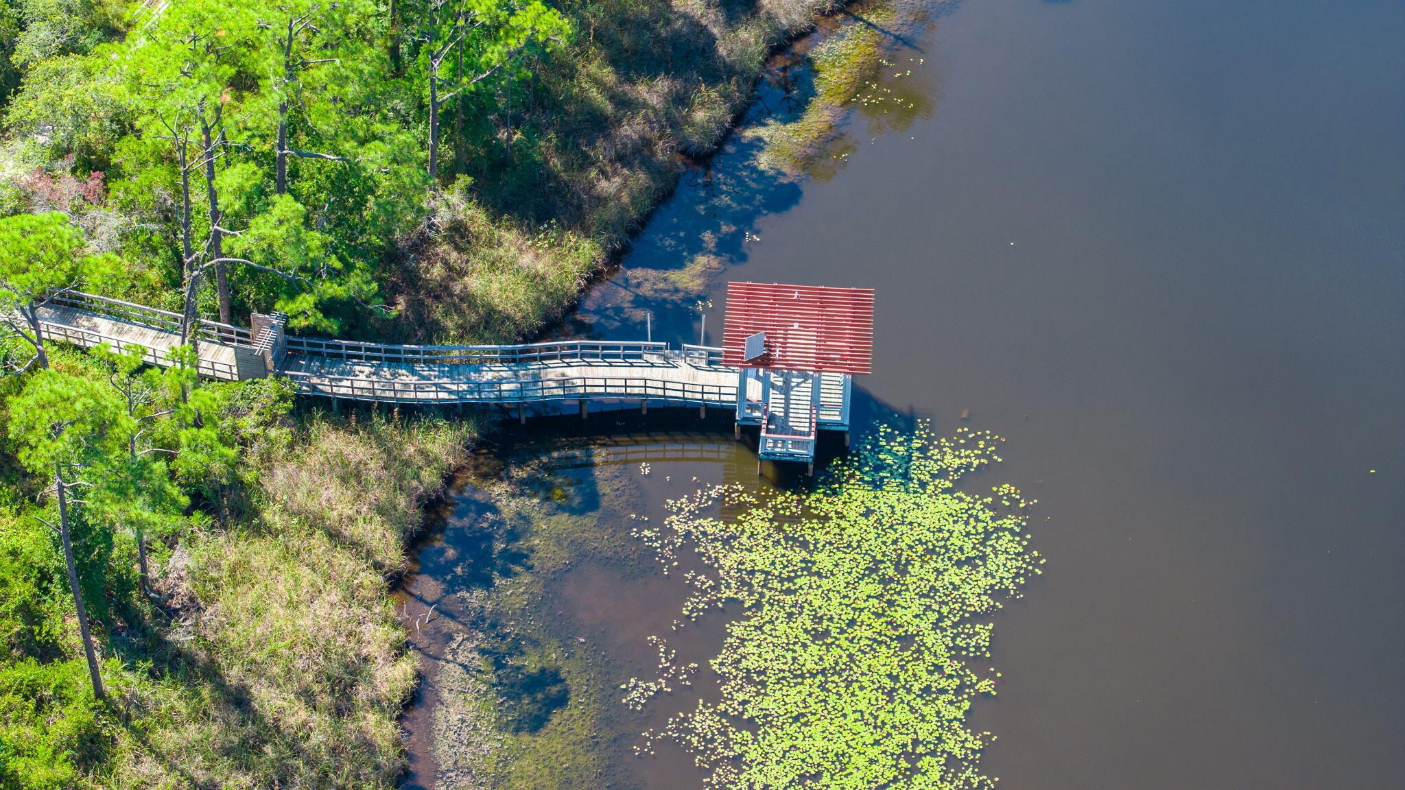 Santa Rosa Beach, Florida, 32459, United States, 4 Bedrooms Bedrooms, ,4 BathroomsBathrooms,Residential,Active,2003566