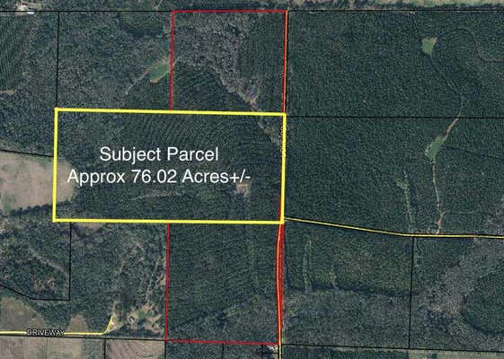 TRACT#6301 W LOVE ROAD # 76.02ACRES+/-, BONIFAY, FL 32425 - Image 1