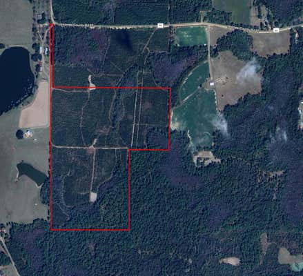 TRACT 6307 COUNTY ROAD 65, BONIFAY, FL 32425 - Image 1