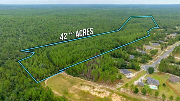 42 AC WELANNEE BOULEVARD, LAUREL HILL, FL 32567 - Image 1