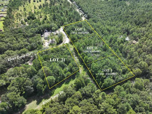 TBD RIVER LOOP DRIVE # LOTS 1, 2, 3, CRESTVIEW, FL 32536 - Image 1