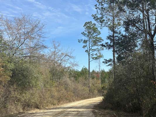 TRACT 6317 S HARRIS STEVENSON ROAD, BONIFAY, FL 32425, photo 2 of 4