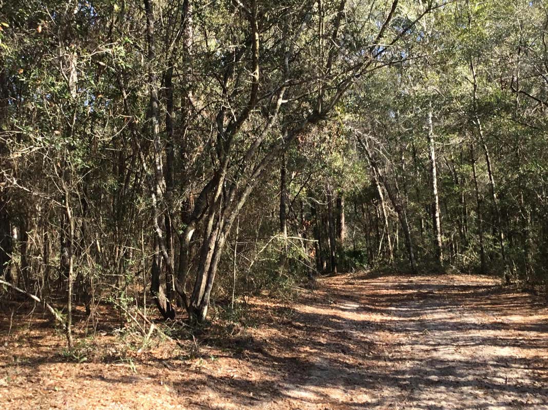 33 ACRES APLIN ROAD, CRESTVIEW, FL 32539, photo 1 of 10