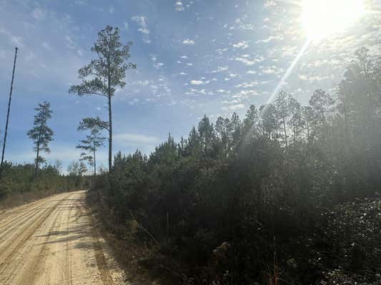 TRACT 6317 S HARRIS STEVENSON ROAD, BONIFAY, FL 32425, photo 3 of 4