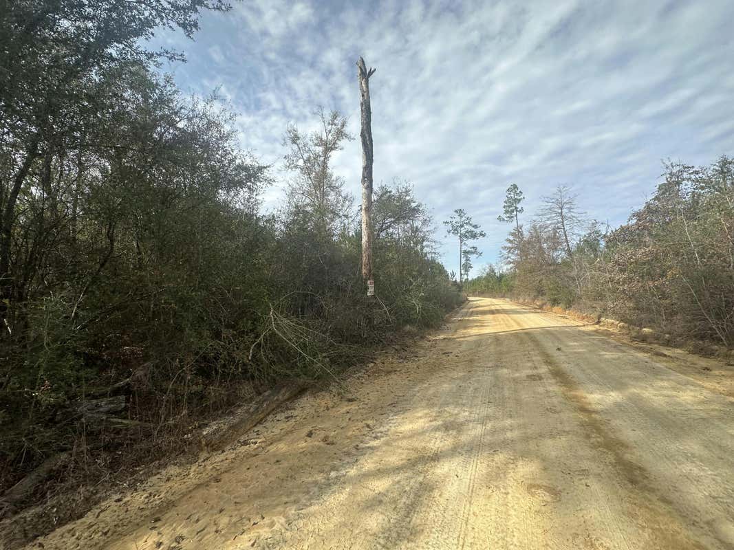 TRACT 6317 S HARRIS STEVENSON ROAD, BONIFAY, FL 32425, photo 1 of 4