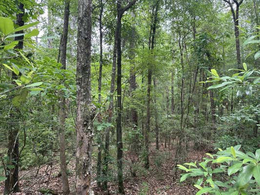 TRACT#6102 HWY 55, OTHER, AL   N/A, photo 5 of 21