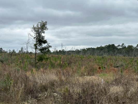 TRACT#6337 DECON ROAD # MIDDLE 22.34 ACRES +/-, BONIFAY, FL 32425, photo 3 of 10