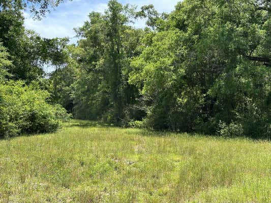 90+/-AC FROST LANE, LAUREL HILL, FL 32567, photo 3 of 32