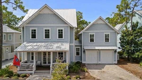 313 E ROYAL FERN WAY, SANTA ROSA BEACH, FL 32459 - Image 1