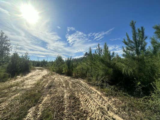 A AND B MILLSIDE ROAD PARCEL A & B, LAUREL HILL, FL 32567 - Image 1