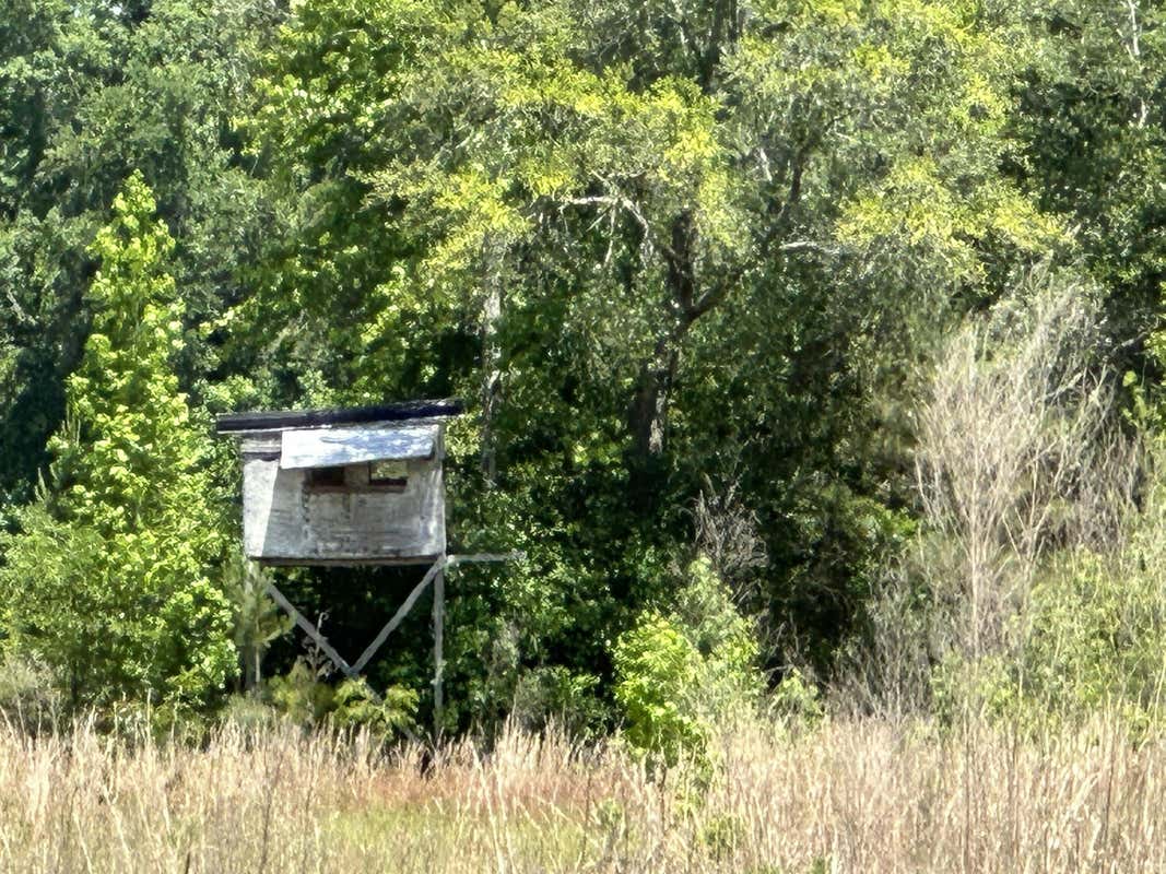 90+/-AC FROST LANE, LAUREL HILL, FL 32567, photo 1 of 32