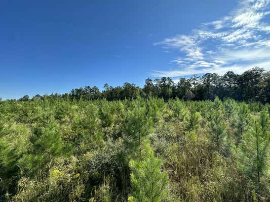 PARCEL M BUCK TYNER ROAD, LAUREL HILL, FL 32567 - Image 1