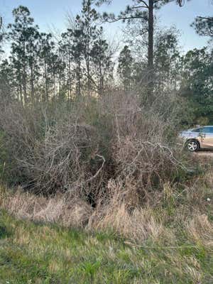 21549 HIGHWAY 231, FOUNTAIN, FL 32438 - Image 1