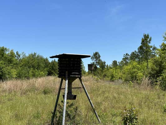 50+/-ACRES FROST LANE # D, LAUREL HILL, FL 32567, photo 3 of 15