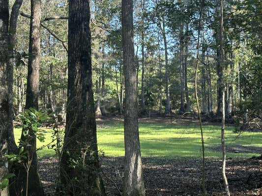 238 AC +/- MILLSIDE ROAD, LAUREL HILL, FL 32567 - Image 1