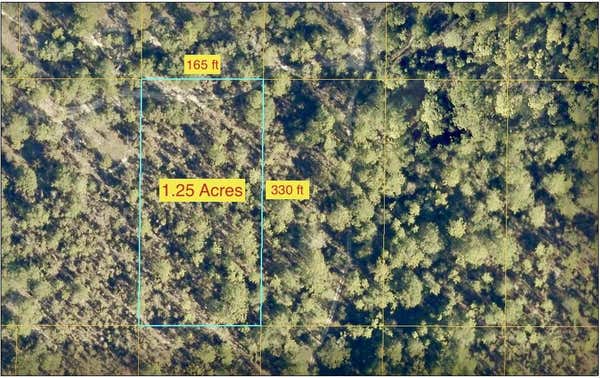 1.25 ACRES KAYCEE JEAN RD, DEFUNIAK SPRINGS, FL 32433 - Image 1