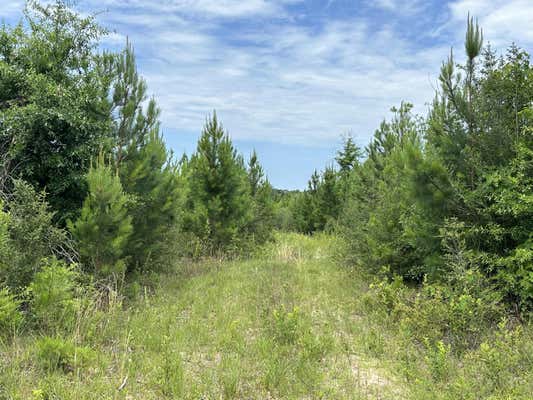 TRACT#6102 HWY 55, OTHER, AL   N/A, photo 3 of 21