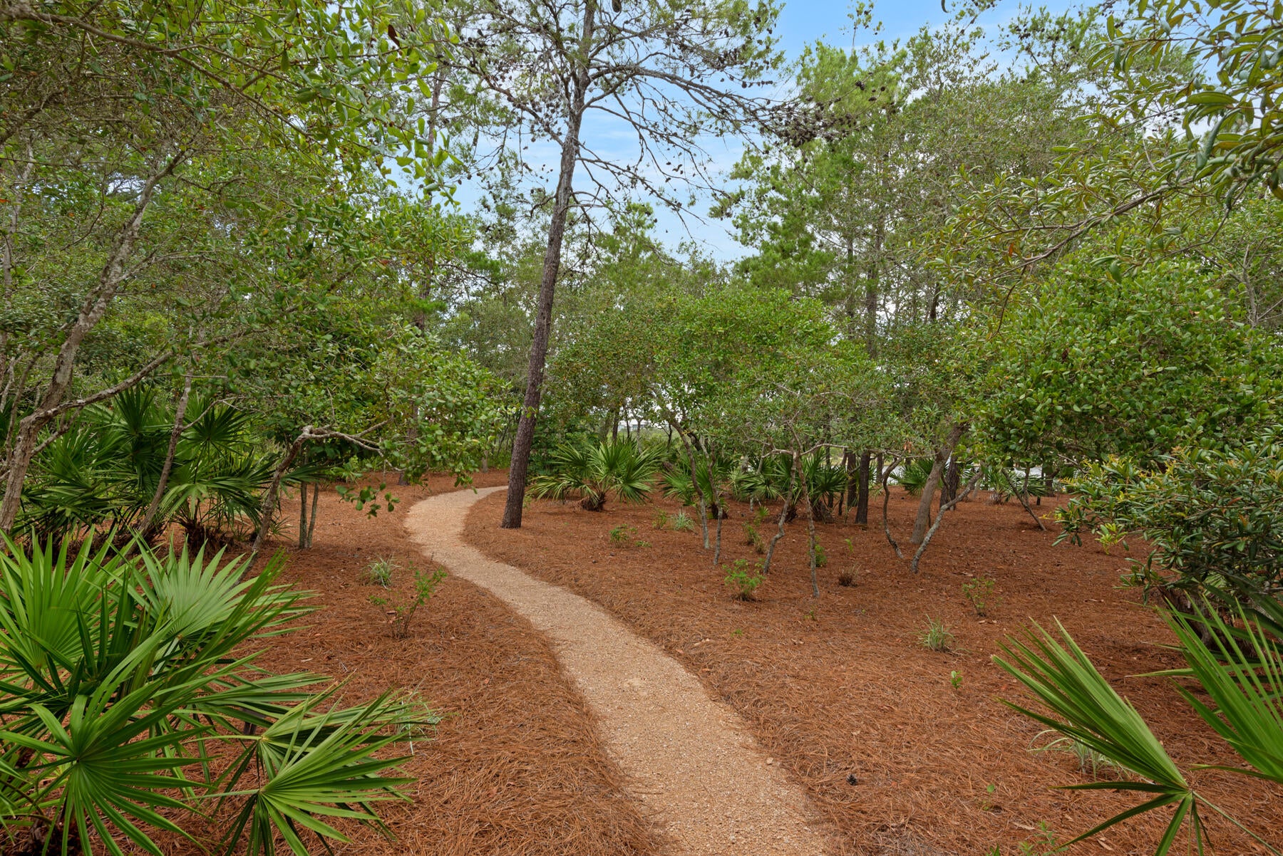 Santa Rosa Beach, Florida, 32459, United States, ,7 BathroomsBathrooms,Residential,Active,1769845