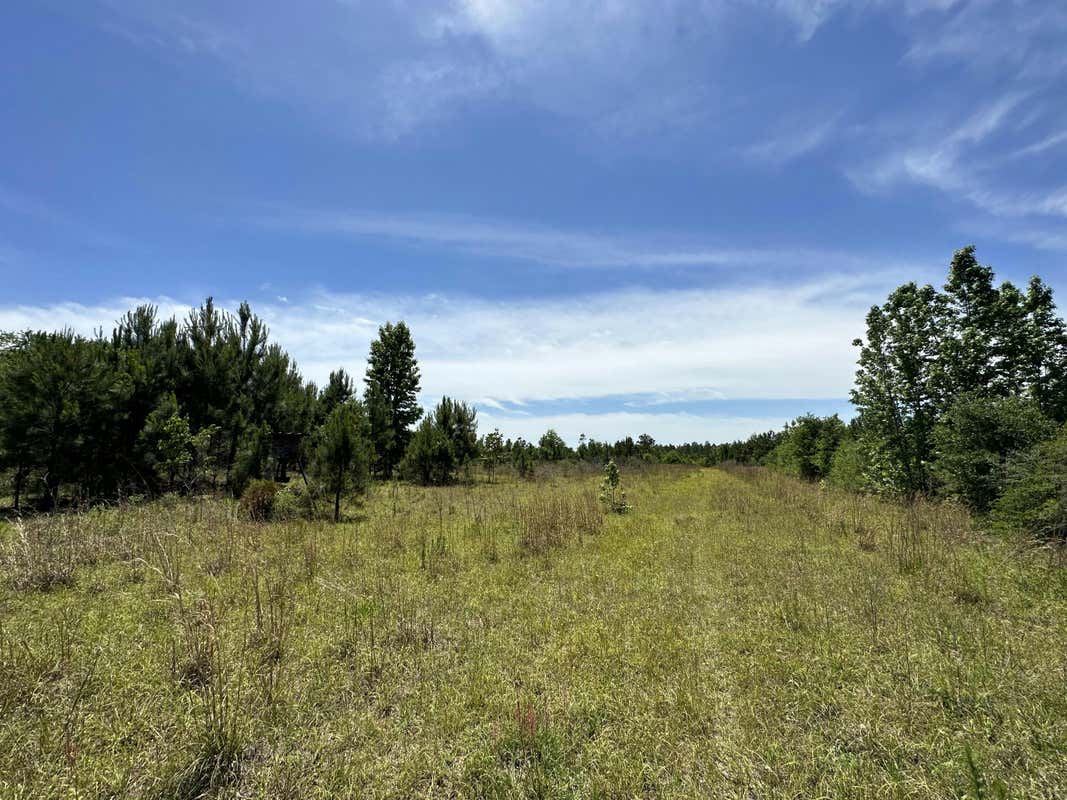 50+/-ACRES FROST LANE # D, LAUREL HILL, FL 32567, photo 1 of 15