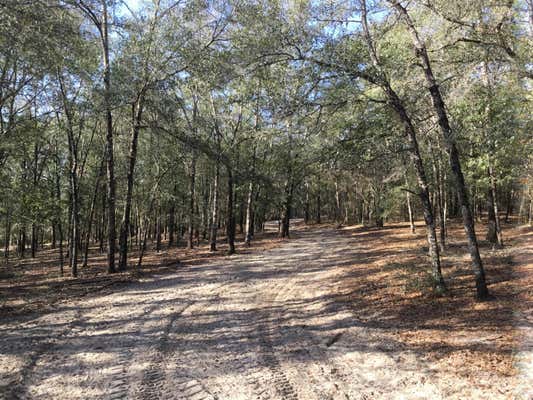 33 ACRES APLIN ROAD, CRESTVIEW, FL 32539, photo 2 of 10