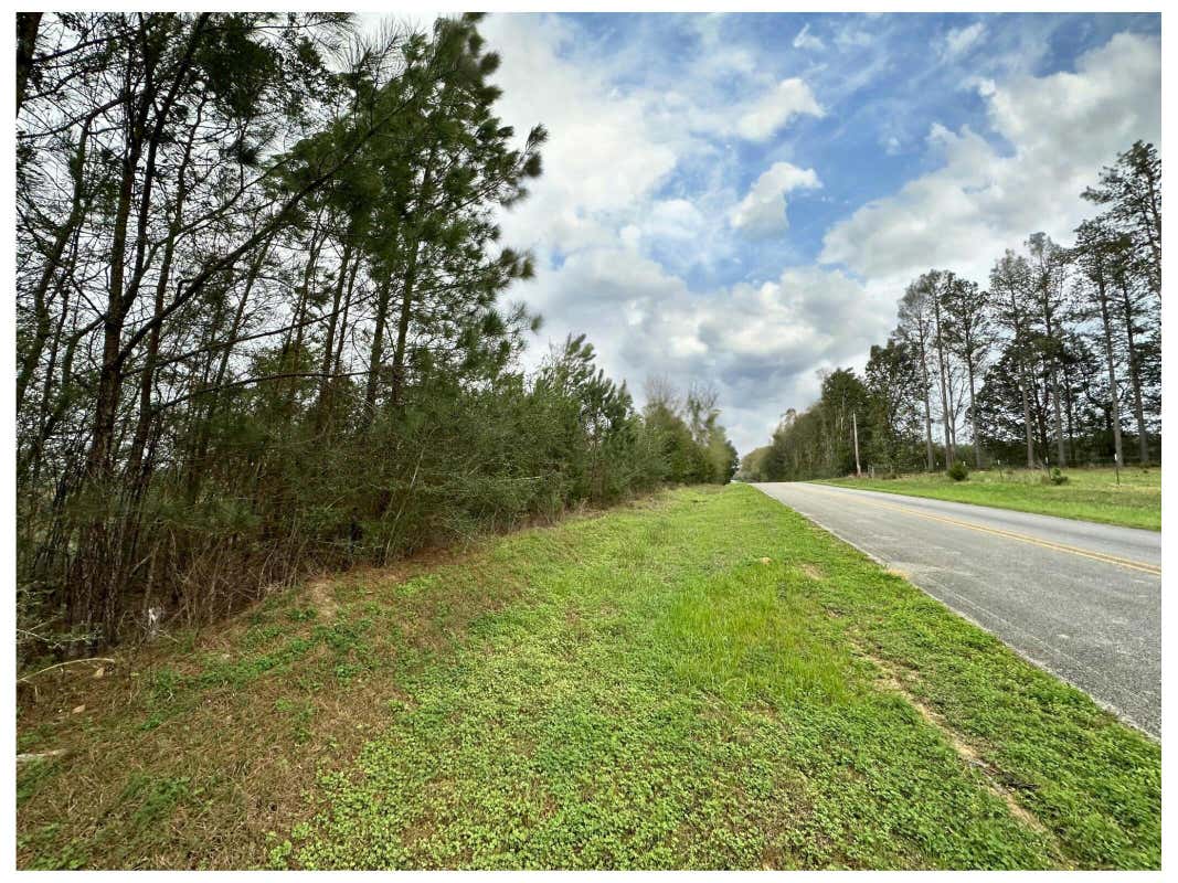 TRACT#6201 8 MILE CEMETERY ROAD # 1, DEFUNIAK SPRINGS, FL 32433, photo 1 of 5