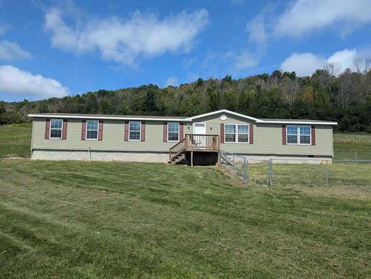 5124 JENKINS HENRY RD, HORNELL, NY 14843 - Image 1