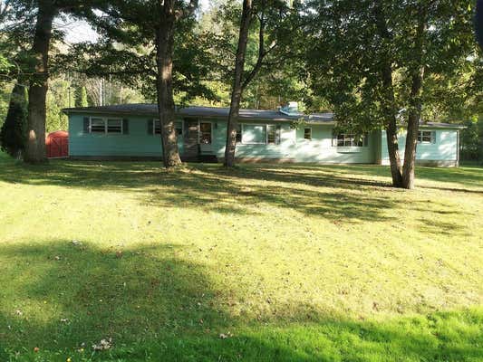 84 WOODLAND PARK, PINE CITY, NY 14871 - Image 1