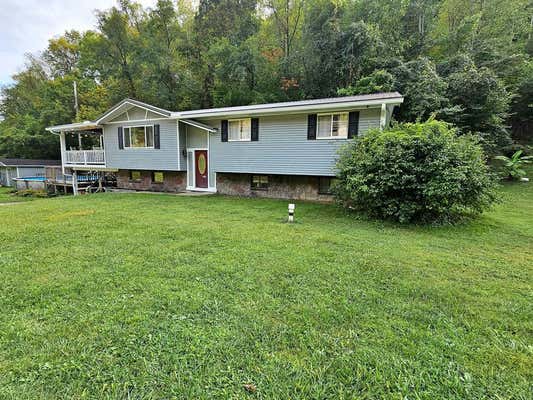 151 ISSAC PARK RD, LOUISA, KY 41230 - Image 1