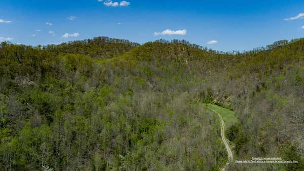 0 LEFT FORK WALTERS ROAD, PIKEVILLE, KY 41501, photo 3 of 16