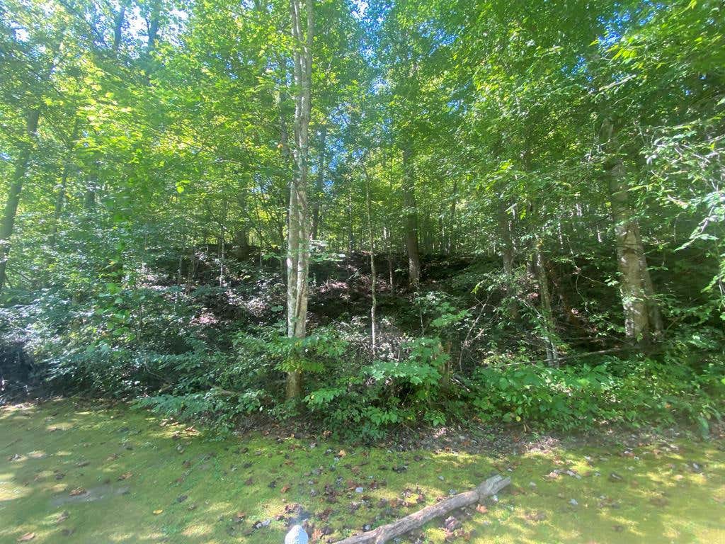 5 BUFFALO CREEK RD, WILLIAMSON, WV 25661, photo 1 of 3