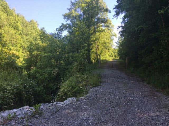 0 LEFT FORK WALTERS ROAD, PIKEVILLE, KY 41501, photo 1 of 16